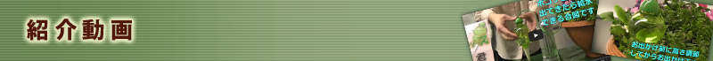 紹介動画