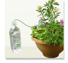 水やり当番カエル君